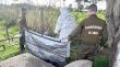Encuentran a joven sin vida al interior del cementerio antiguo de Puyehue