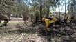 Comunidad erradica microbasural en bosque y construye cortafuego en Puchuncaví