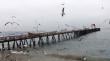 Muere mujer que cayó al mar en Caleta Portales: fue rescatada por pescadores