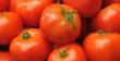 Tomates de Arica y Parinacota abren nueva ruta exportadora hacia Argentina: salen primeros camiones