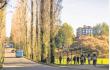 Superintendencia de Educación Superior cerró la fiscalización a la U. Austral por caso Lincolao