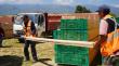 Floricultores de La Ligua reciben 10 mil tablas de madera para reconstruir sus invernaderos