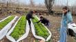 Científicos estudian bioinsumo creado por agricultor con residuos agrícolas