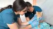 Operativo veterinario atendió a más de 2.000 animales en Puqueldón