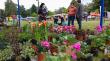 Temuco: este viernes parte la Explo Flores en el Parque Estadio