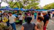 18ª Expo Flores: La tradicional fiesta verde de Temuco vuelve con más de 95 stands y entrada liberada