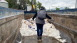 Decomisan y destruyen más de 7 toneladas de queso elaborado en fábrica informal en Santa María