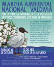 Valdivia sale a la calle por el agua y los ríos del sur