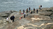 Tragedia en Zapallar: hombre murió tras ser arrastrado por una ola mientras pescaba en roqueríos