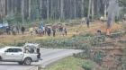 Encapuchados ataca a balazos a carabineros que resguardaban predio forestal en Arauco