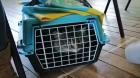 Cerca de 30 gatitos del sector Agoni Alto de Queilen fueron esterilizados tras exitoso operativo