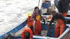 Con tan sólo 19 años: por primera vez una mujer entra al sindicato de pescadores de la Caleta Portales