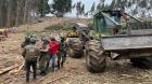 Detuvieron a un trabajador forestal que estaba operando una maquinaria que habia sido robada