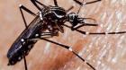 Detectan dos casos de dengue en un consultorio de San Antonio