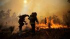 Incendio forestal en Carahue consumió cinco hectáreas y decretan alerta roja