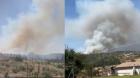 [VIDEO] Incendio forestal en Campo Mar 7 afectó a 14 hectáreas: cancelaron Alerta Roja en Quintero y Puchuncaví