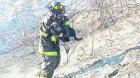 78 rescates animales lleva bomberos de Chillán en los últimos 36 meses