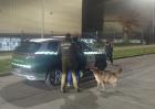 Investigan homicidio en Valdivia