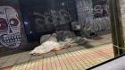 Habilitarán sobrecupos en los albergues de Osorno por alta demanda