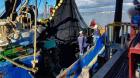 Incautan redes de cerco y 15 toneladas de sardina y anchoveta en fiscalización realizada en Biobío