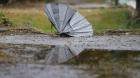 Ciclón extratropical se hará sentir en La Araucanía con fuertes vientos y lluvias