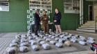 Carabineros incauta más de mil millones en marihuana en San Carlos