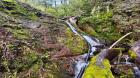 Fiscalizan al interior de Reserva Nacional Malalcahuello por intervención ilegal en cauce
