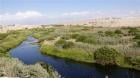 Core de Antofagasta emite 'señal de alerta' por preservación del río Loa y sus humedales