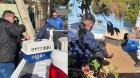 Retiran gran cantidad de perros y gatos que tenía adulta mayor hacinados en vivienda de Reñaca