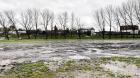 Acusan abandono de terreno de la ex cancha de los viejos crack en Osorno
