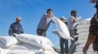 Zapallar lanza programa para vender alimentos a precio justo y enfrentar alza en productos básicos