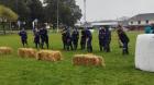 Los Lagos: más de 400 alumnos participarán en III versión de los Juegos del Agro