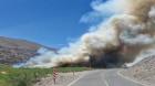 Incendio afectó pastizales en poblado de Quillaguasa al interior de Tarapacá