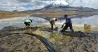 Por derrame de aceite de soya: cierran Parque Nacional Lauca en forma indefinida