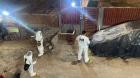 Cuatro detenidos y un extraditado por doble homicidio en campamento de Antofagasta