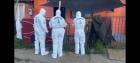 Grupo ECOH de Fiscalía investiga el homicidio de hombre en Valdivia