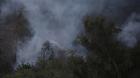 Reportan incendio forestal en el cerro Renca: Humo es visible en diversos puntos de la RM