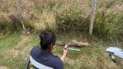 Investigan hallazgo de ejemplar de una nutria en Castro
