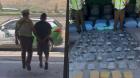 Carabineros incauta 510 kilos de marihuana elaborada y detiene a dos sujetos en San Felipe