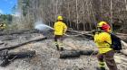 Tres incendios forestales tuvo la provincia de Osorno este fin de semana