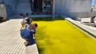 Desde coloración verdosa hasta la presencia de larvas: Cinco piscinas clausuradas en Antofagasta