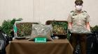 [VIDEO] Incautaron más de 900 plantas y 7 kilos de marihuana a granel en Quintero