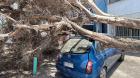 Árbol cayó sobre vehículo estacionado en plena vereda en sector de Iquique