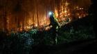 Confirman control de incendios forestales tras dos semanas de combate en el Biobío