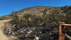 Papudo: detienen a presunto autor de incendio forestal en Salinas de Pullally
