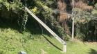 Caída de árbol genera cortes de electricidad en Osorno y San Pablo