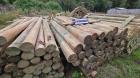 PDI recupera madera avaluada en $4 millones tras investigación por estafa en La Araucanía