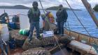 Lancha de Calbuco fue detectada en Aysén con carga ilegal de 2 toneladas de choro zapato