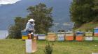 Festival de la Miel 2026 se realiza en el sector Ralún de Puerto Varas este fin de semana