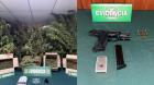 [VIDEO] Dos detenidos en Viña del Mar: incautaron drogas y un arma de fuego